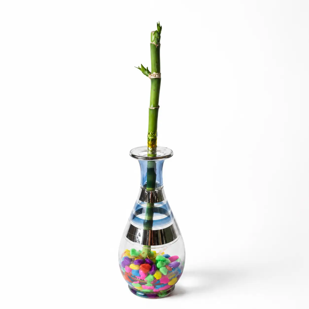 Bambu 4