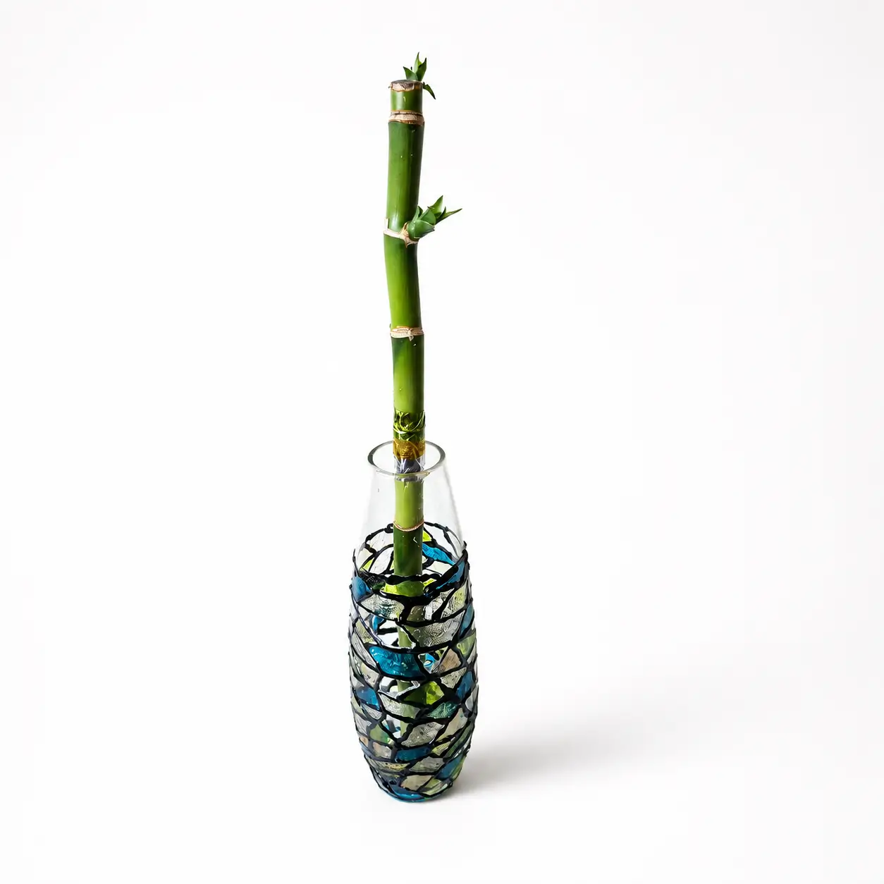 Bambu 6