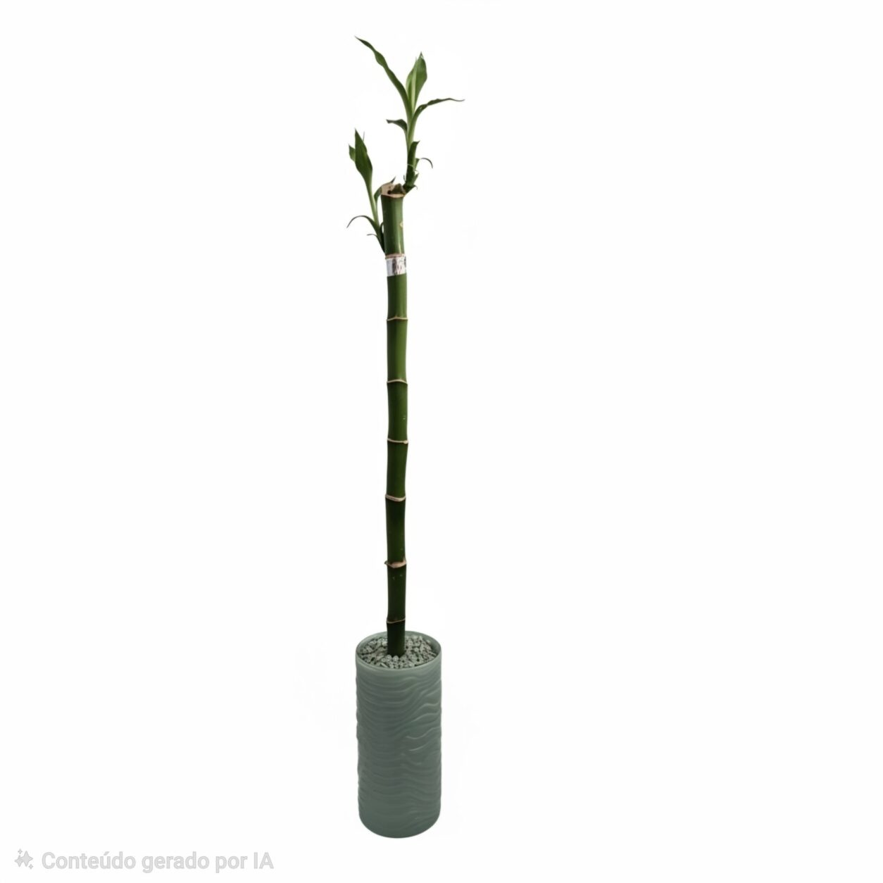 verde coca